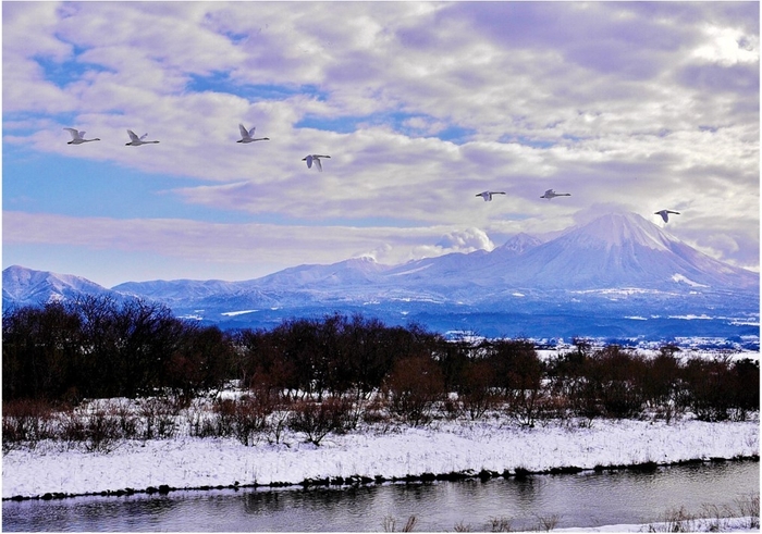 <フォトコンテスト2024一般部門金賞作品>
