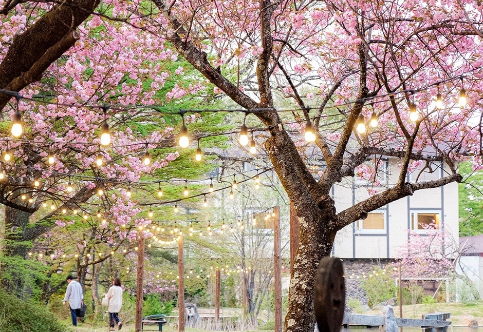 みやぎ蔵王・遠刈田温泉 ゆと森俱楽部