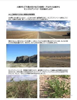 リポート(2)
