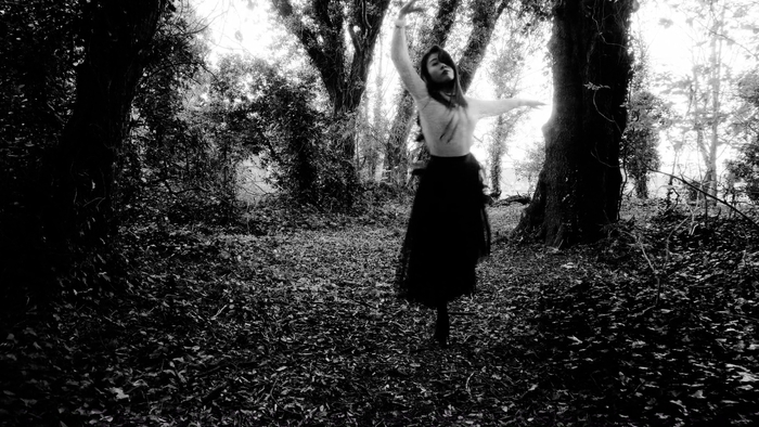 ビデオ(岡崎未来)