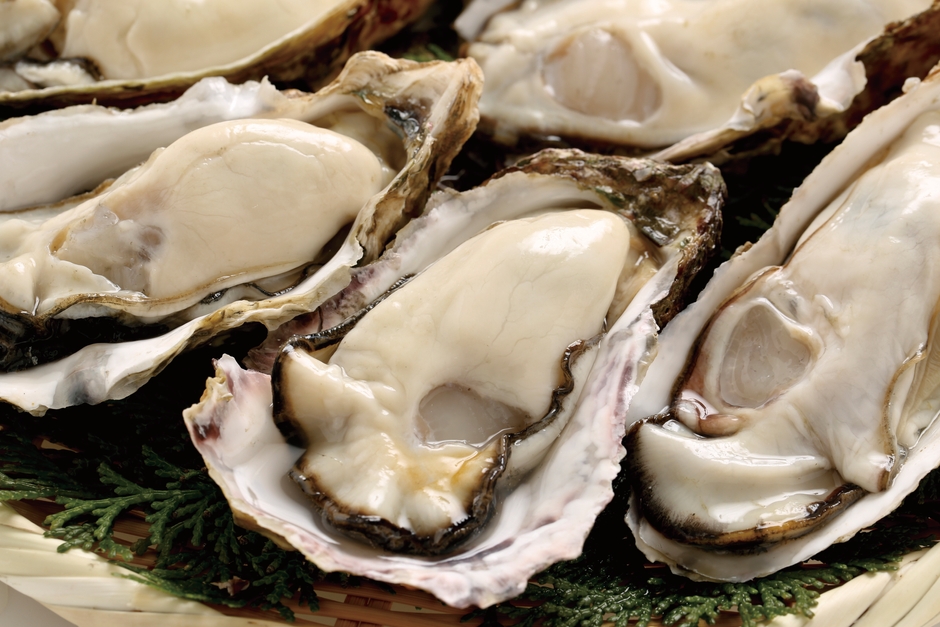 宮城県雄勝産『初夏の牡蠣』は冬に比べて3倍にも!