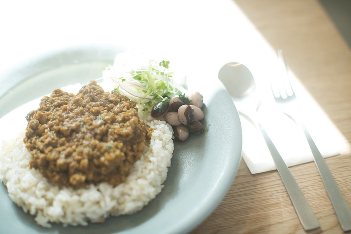 ドライキーマカレー