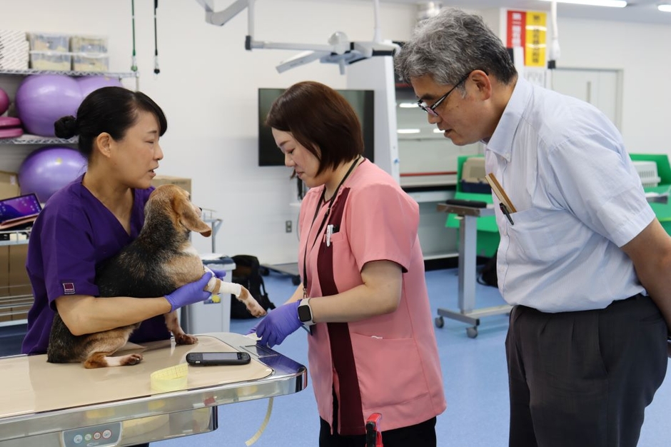 「まきよるOne」で巻圧を確認する(左から)古本佳代・獣医保健看護学科教授、佐伯准教授、赤木教授