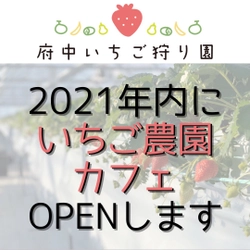東京いちご狩り農家が併設のいちごカフェOPEN&採れたてのいちごを使用したスイーツを提供