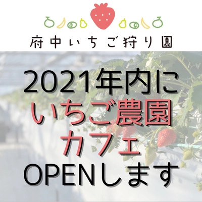 東京いちご狩り農家が併設のいちごカフェOPEN&採れたてのいちごを使用したスイーツを提供