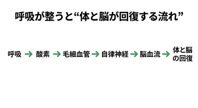 睡眠の質を上げる唯一の方法は、呼吸の質を高め、副交感神経を優位にすること　眠りづらさの正体──シリーズ第13回
