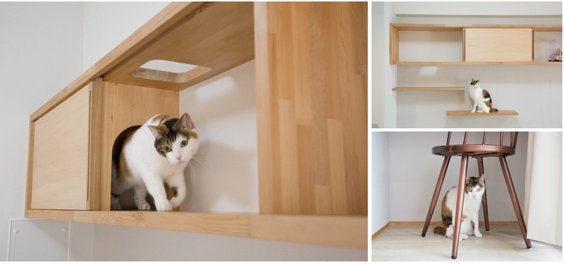 動物病院院長が猫ちゃんの性格にあわせた住まいを一邸ずつ監修!  「マイリノペットforねこ」CASE 002スタート！