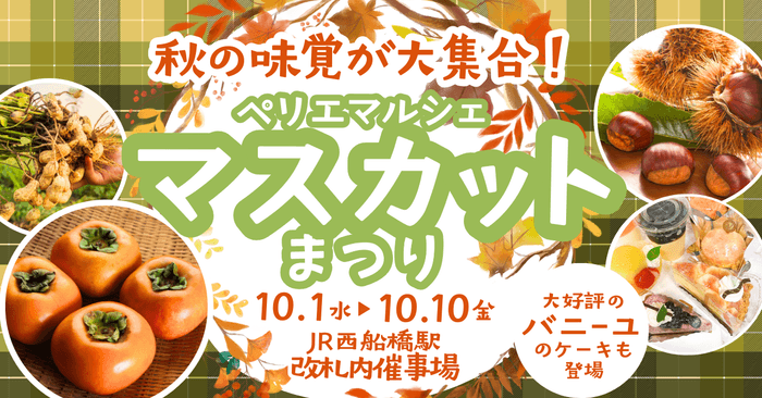 シャインマスカットまつり開催！
