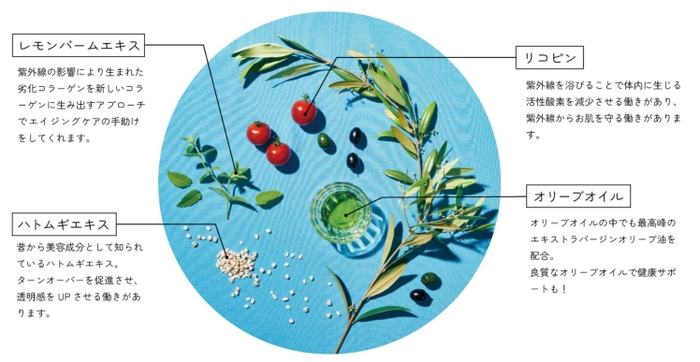 「リコバリア」内からの紫外線対策に必要な、4つの植物成分。