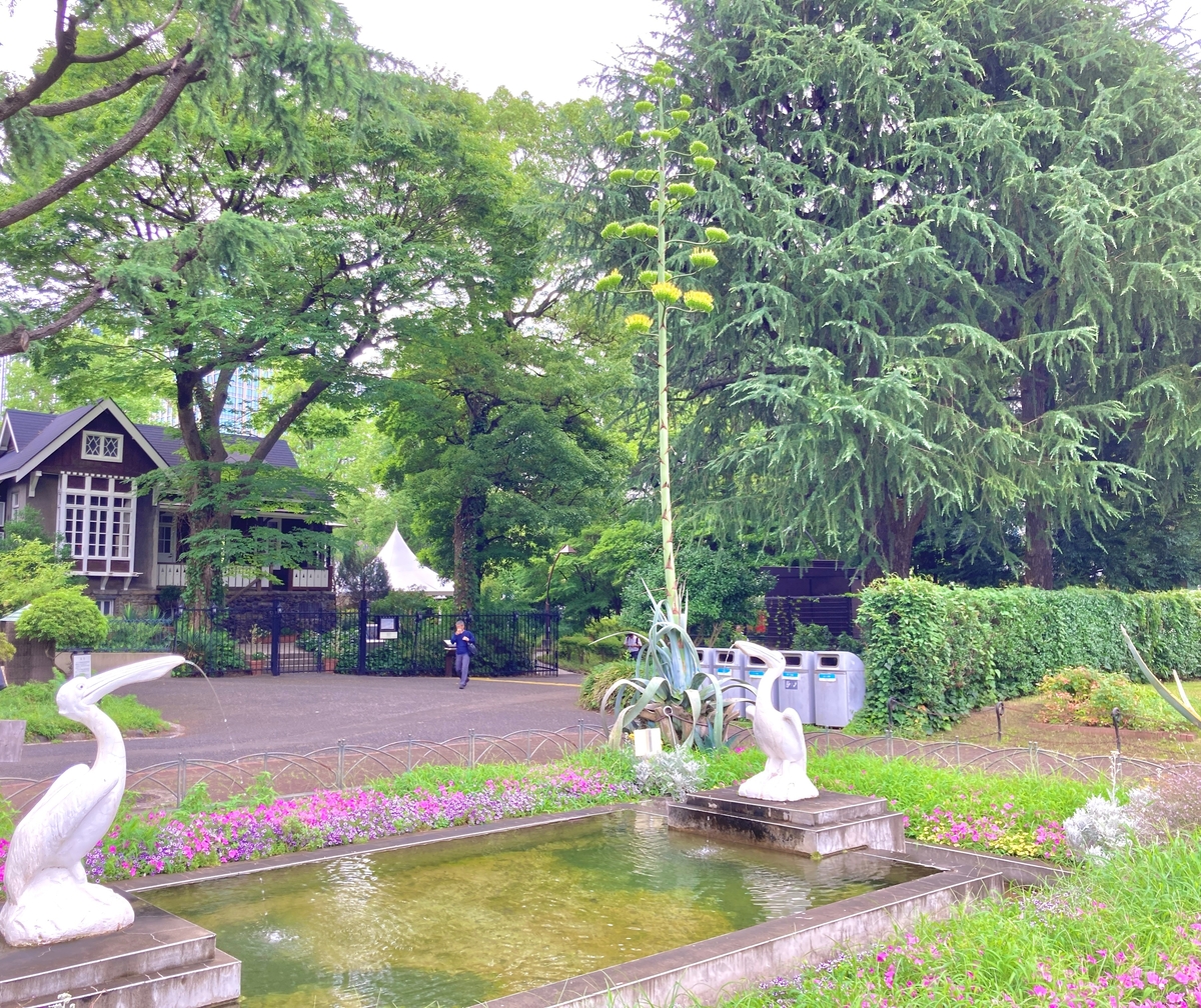 日比谷公園 緑と赤のエネルギー 】｜オリーブ♪＠横浜