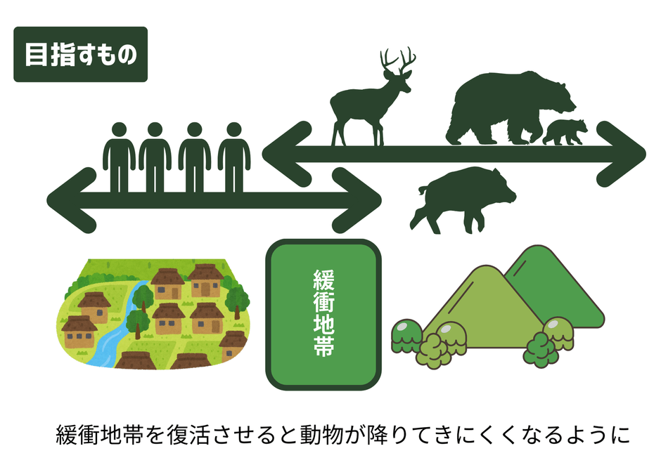 緩衝地帯が復活すると、動物が降りてきにくくなる。