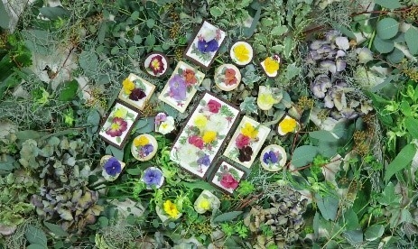 レストラン特別メニュー