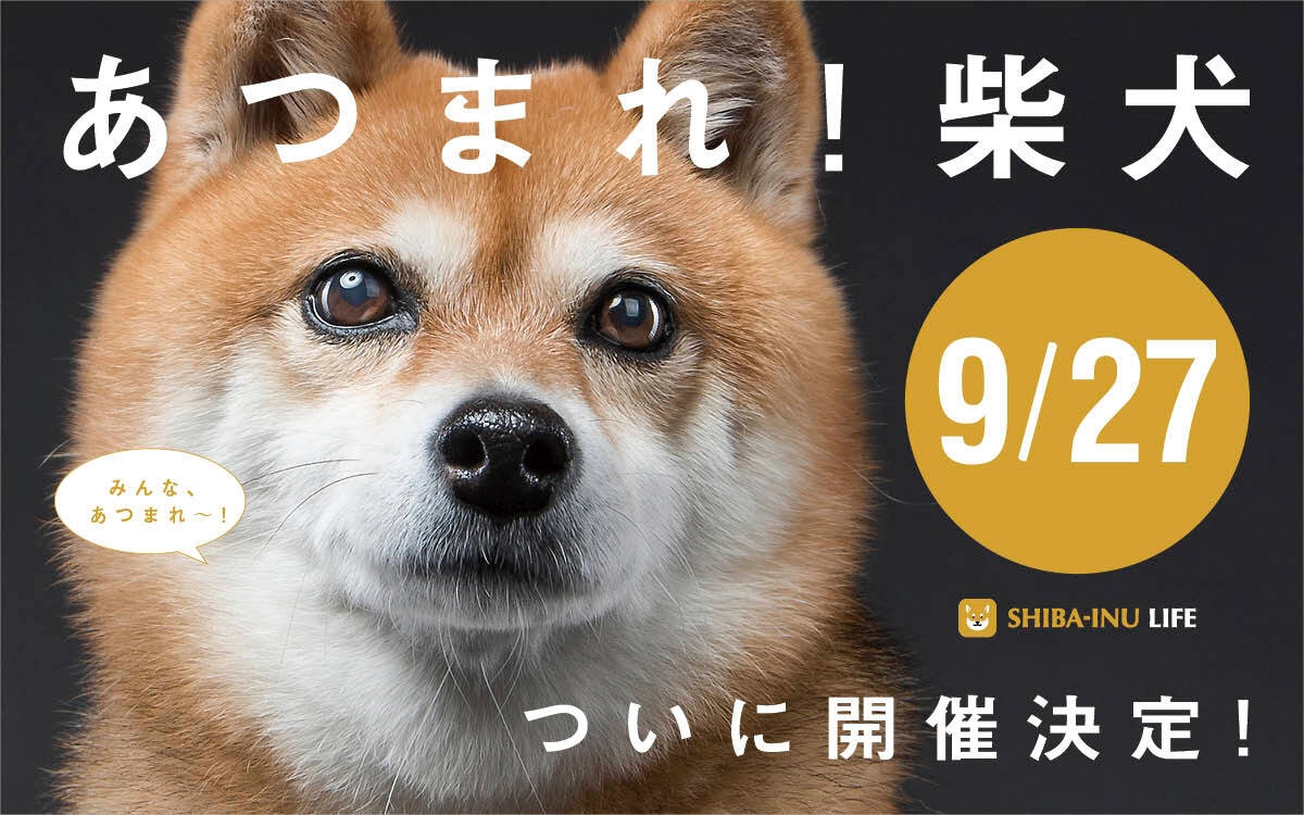 Rakanu 9月27日にドッグフレンドリーイベント ワンoneday あつまれ 柴犬 を柏の葉t Siteにて開催 Newscast