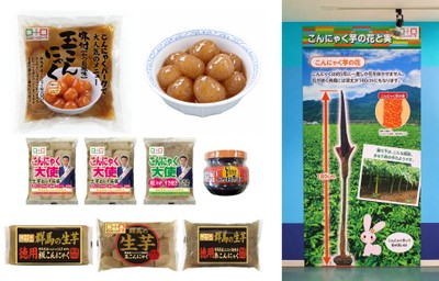 鰹だし味付け生芋玉こんにゃく(新芋)、生芋玉こんにゃくの煮物、2026新芋祭り限定セット、コンニャクイモパネル
