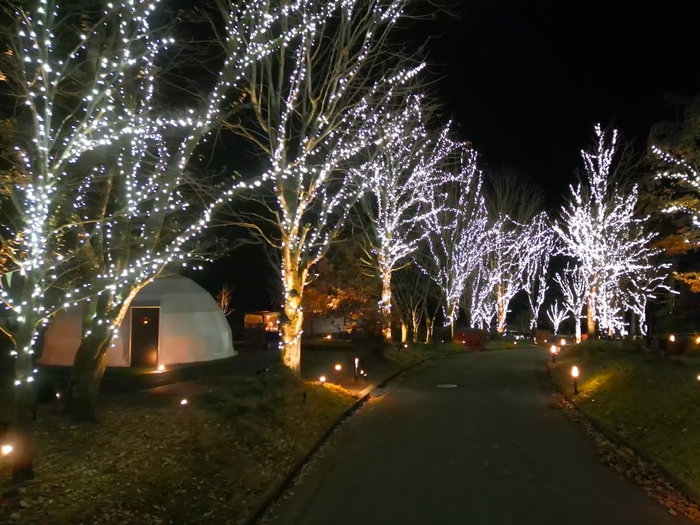 イルミネーションナイト2025