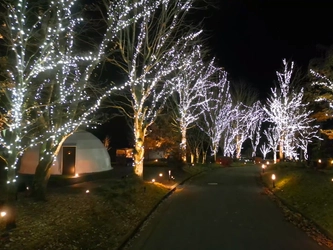 グランピングリゾート ブリリアントヴィレッジ日光　 まもなく開業3周年！4万球のLEDが灯る 「イルミネーションナイト2025」11月29日より点灯開始！