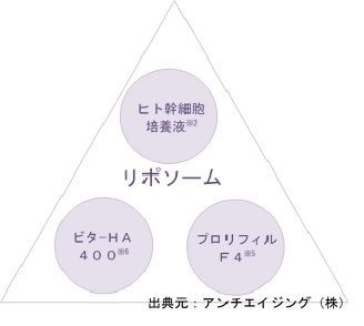 イメージ画像 (2)