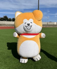 秋田犬たれみみだいちゃん