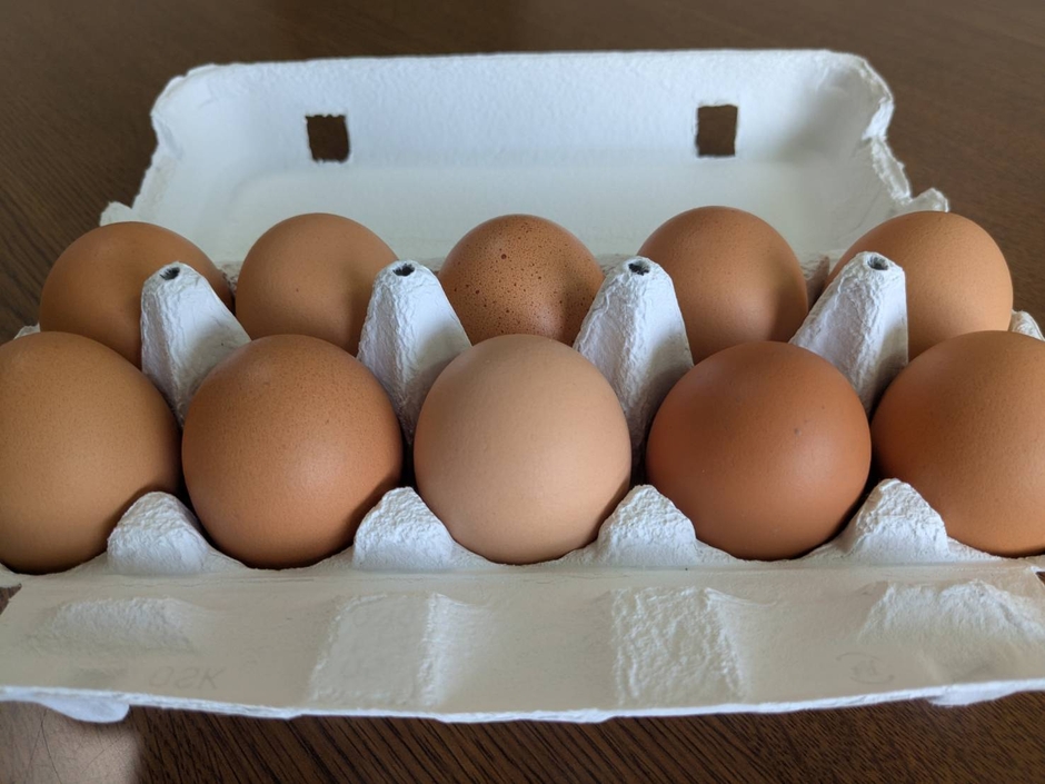 オーガニック卵