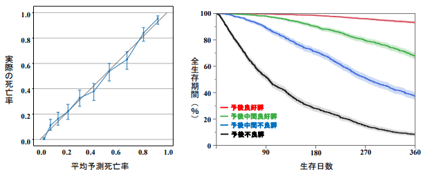 (図1)実際の患者死亡率とAIが予測する平均死亡率の関係性(左)、(図2)AIが予測する死亡率における全生存期間の分類(右)
