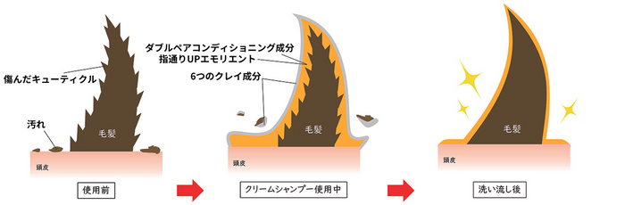 髪も頭皮も潤しながら汚れを落とす