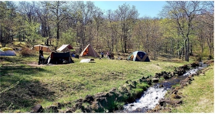 今ある自然環境を活かしたキャンプ場