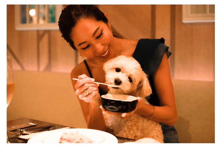 フォレストヒルズ那須　愛犬とディナー