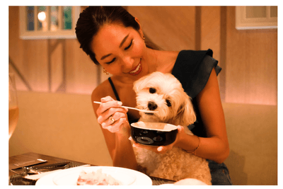 フォレストヒルズ那須 愛犬とディナー