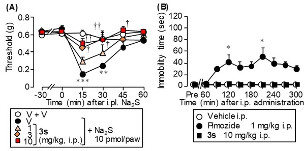 図2 新規ピモジド誘導体3sは、（A）Na2S誘発性アロディニアを抑制し、（B）カタレプシー反応を惹起しなかった。