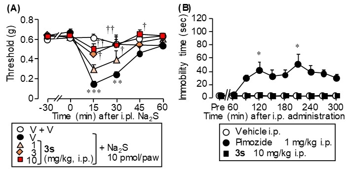 図2 新規ピモジド誘導体3sは、（A）Na2S誘発性アロディニアを抑制し、（B）カタレプシー反応を惹起しなかった。