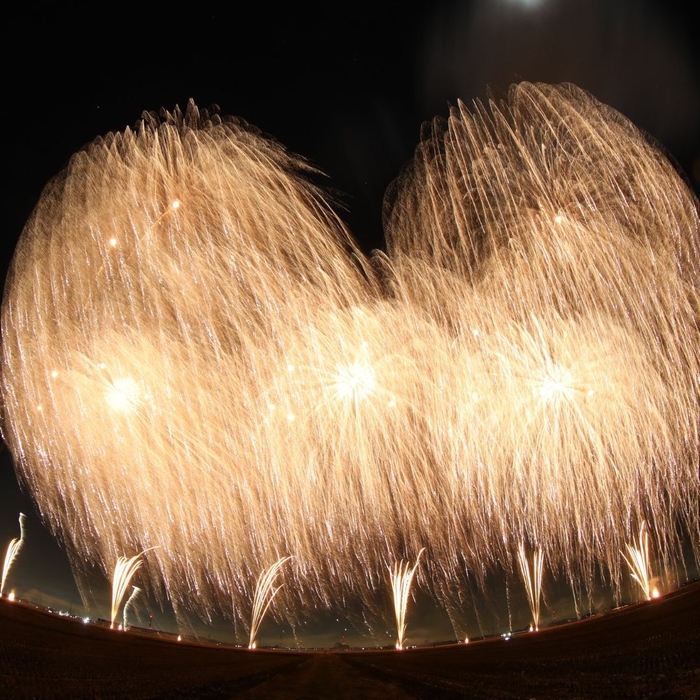 花火ショーが秋の夜空を彩る