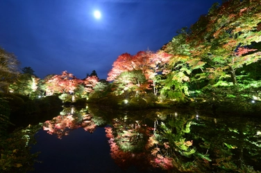 世界遺産・日光山輪王寺の秋、紅葉の名所「逍遥園」 10/25(水)～11/15(水)秋夜のライトアップ開催！