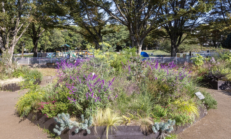 Dガーデンの様子（11月）