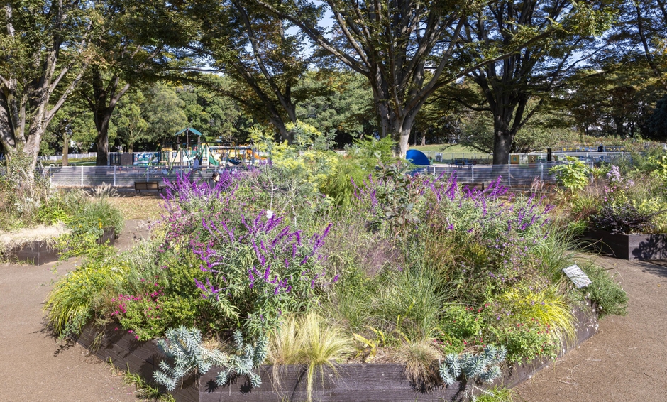 Dガーデンの様子（11月）