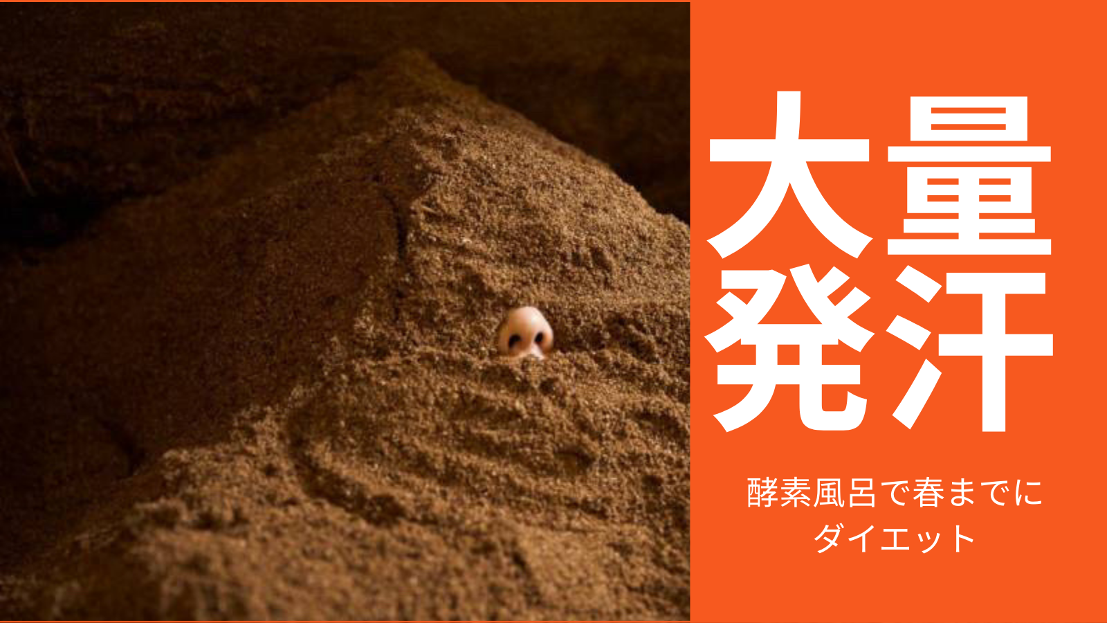 もうすぐ春です!!薄着の季節です!!冬の間に贅肉ためこんでいませんか?芸能人にも人気の酵素風呂で春が来る前にダイエット。