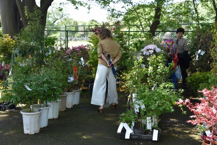 東京都農業祭植木部門の様子(1)