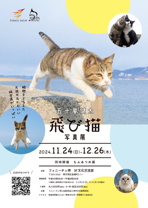五十嵐健太 飛び猫写真展