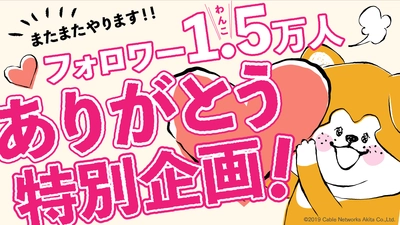 秋田犬たれみみだいちゃん公式Twitter 1.5万(わんこ)フォロワー達成記念！ Amazonギフト券が抽選で55名様に当たる！ プレゼントキャンペーン実施中！！