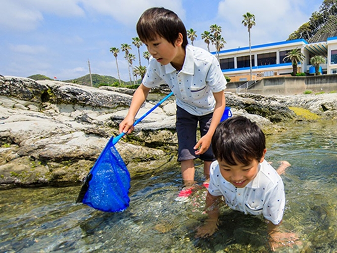 磯遊び（ホテル前）