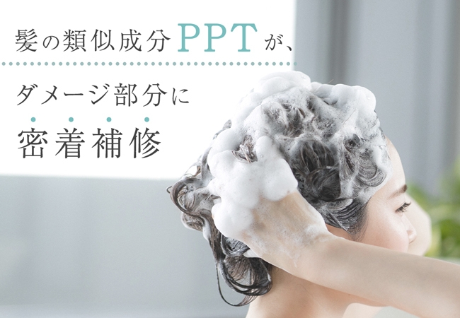 PPTってなんだろう?