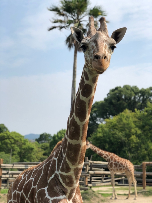 動物園