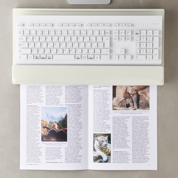 雑誌や見開き冊子が収まる。