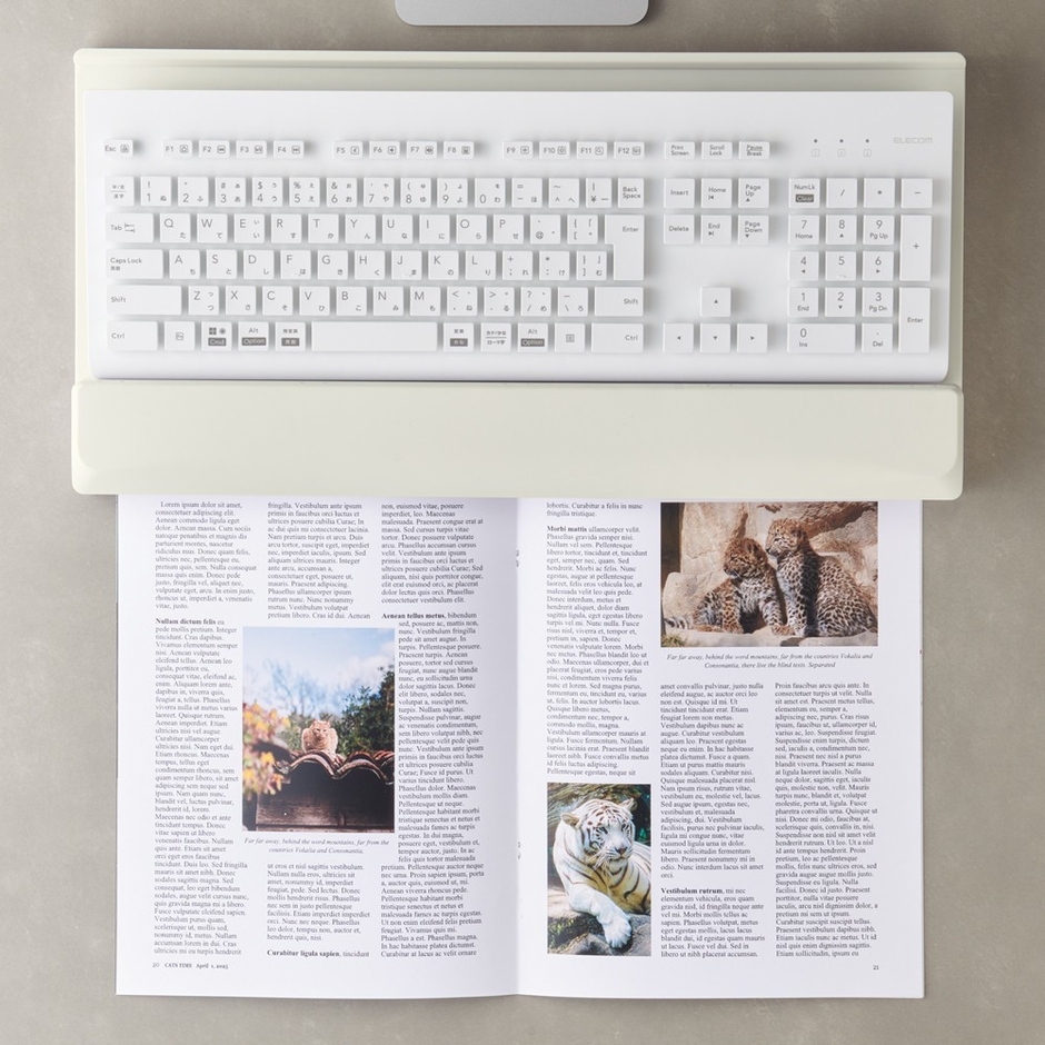 雑誌や見開き冊子が収まる。