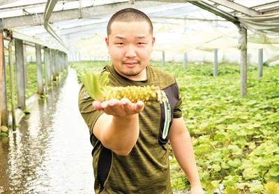 藤屋わさび農園 4代目:望月 啓市