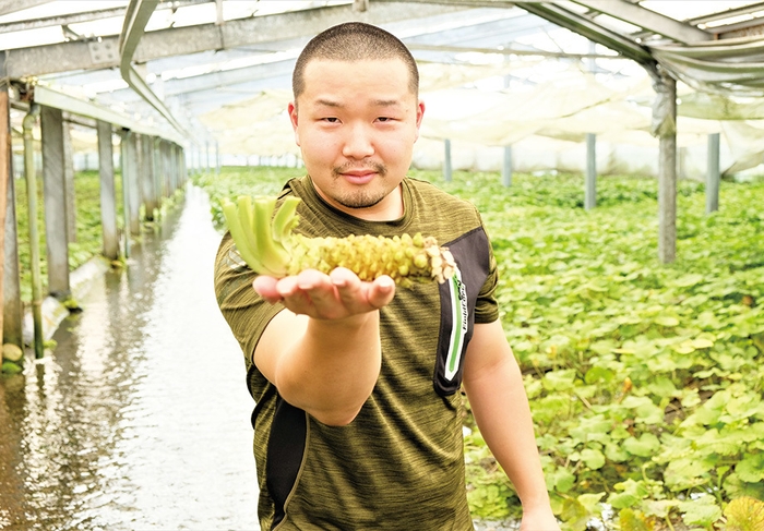 藤屋わさび農園 4代目:望月 啓市