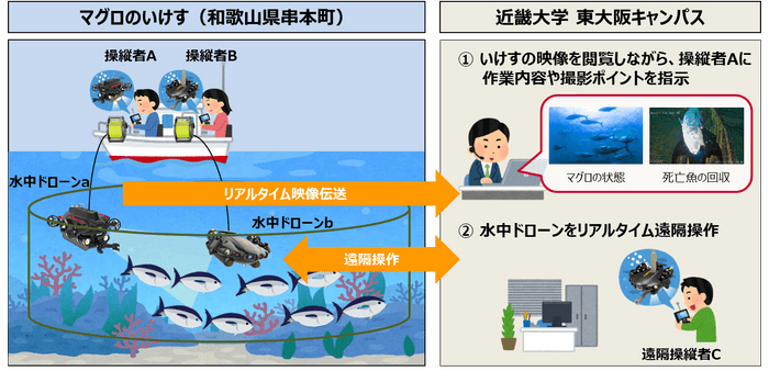 本実証実験のイメージ