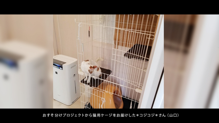 おすそ分けプロジェクトから猫用ゲージをお送りした*コジコジ*(山口県)さん