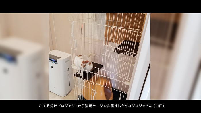 おすそ分けプロジェクトから猫用ゲージをお送りした＊コジコジ＊(山口県)さん