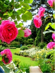 六甲山カンツリーハウス ローズウオーク(イメージ)