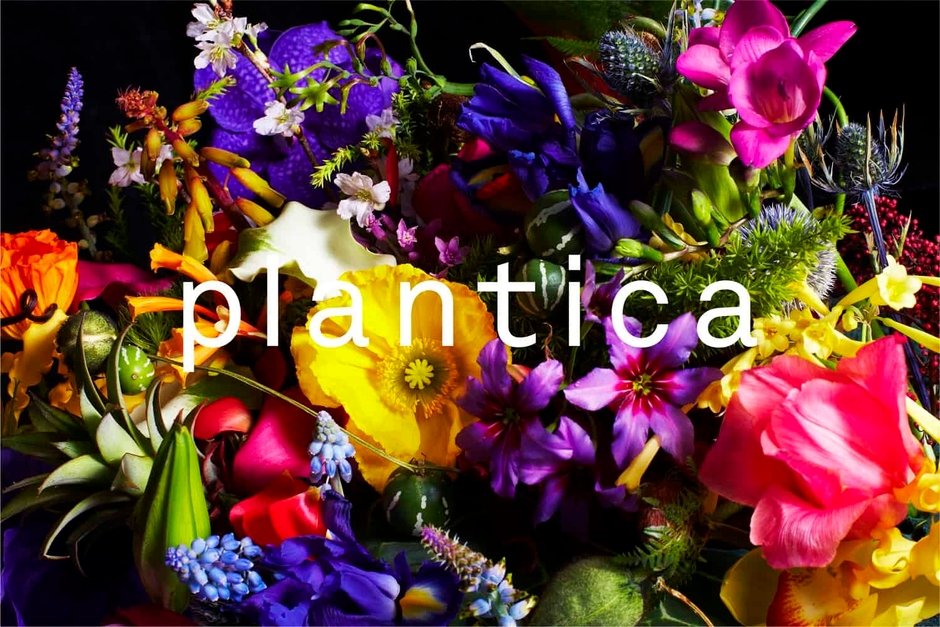 写真提供:「plantica」